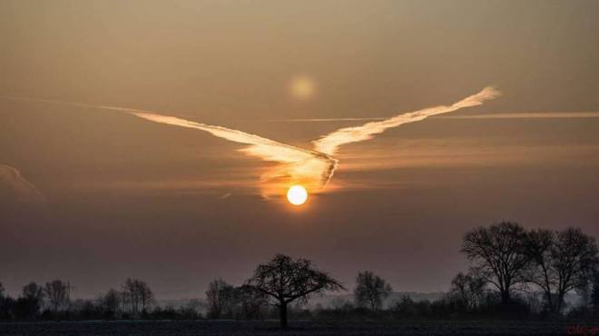 1958430_10152290237555730_1071580060_n