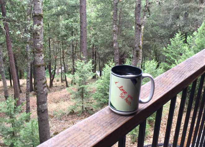 cropped-14191957_10210398337852702_2669612161964589890_n