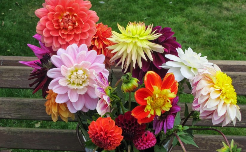 Love Much, Think&nbsp;Less