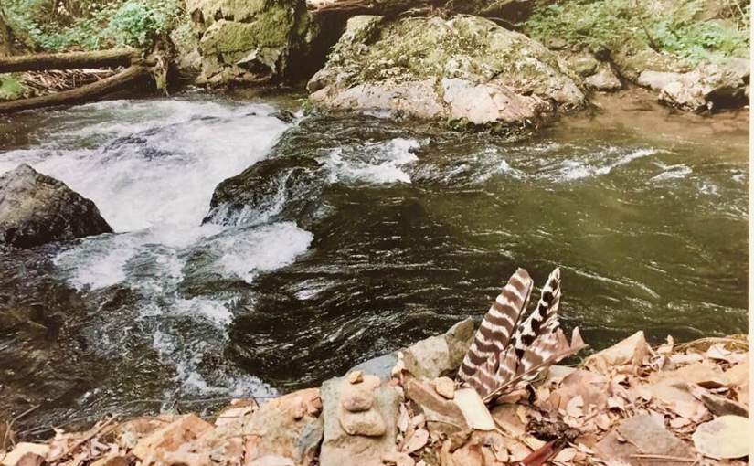 Employed By The&nbsp;Universe